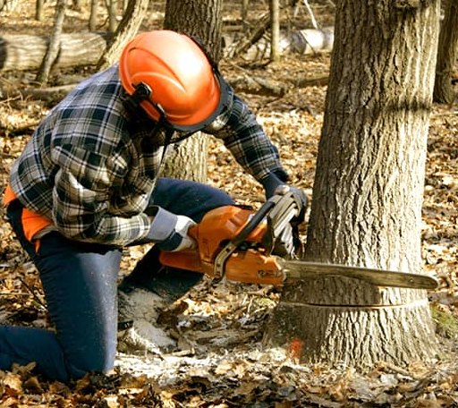 Tree Removal in Garland, NE